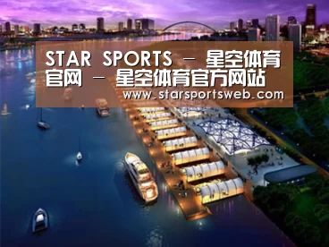 案例展示八