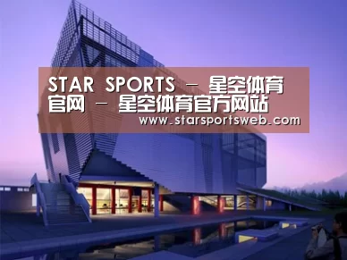案例展示六