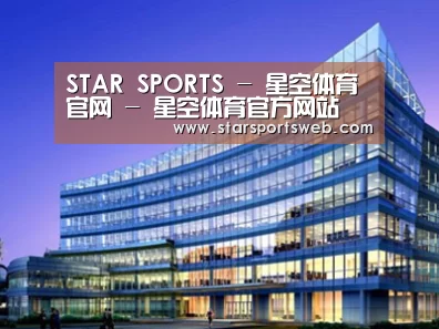案例展示五