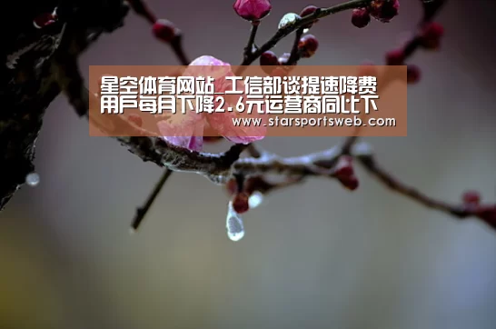 星空体育网站_工信部谈提速降费用户每月下降2.6元运营商同比下降(图1) 星空官网