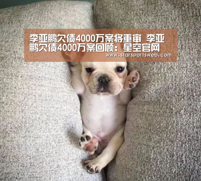 李亚鹏欠债4000万案将重审 李亚鹏欠债4000万案回顾:星空官网(图2) 星空体育