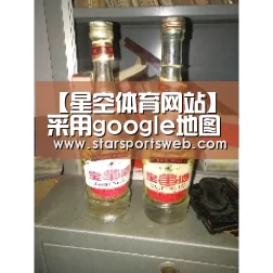 【星空体育网站】采用google地图的Android系统导航应用设计(图1) 星空体育
