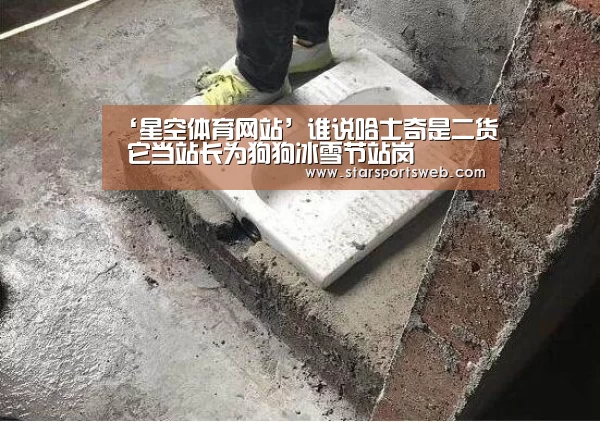 ‘星空体育网站’谁说哈士奇是二货 它当站长为狗狗冰雪节站岗(图2) 星空体育官网