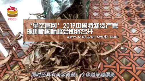 ‘星空官网’2019中国特殊资产管理创新国际峰会即将召开(图2) 星空体育