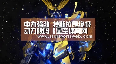 电力强劲 特斯拉是终极动力股吗【星空体育网站】(图1) 星空体育