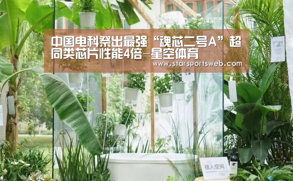 中国电科祭出最强“魂芯二号A”超同类芯片性能4倍-星空体育(图3) 星空体育