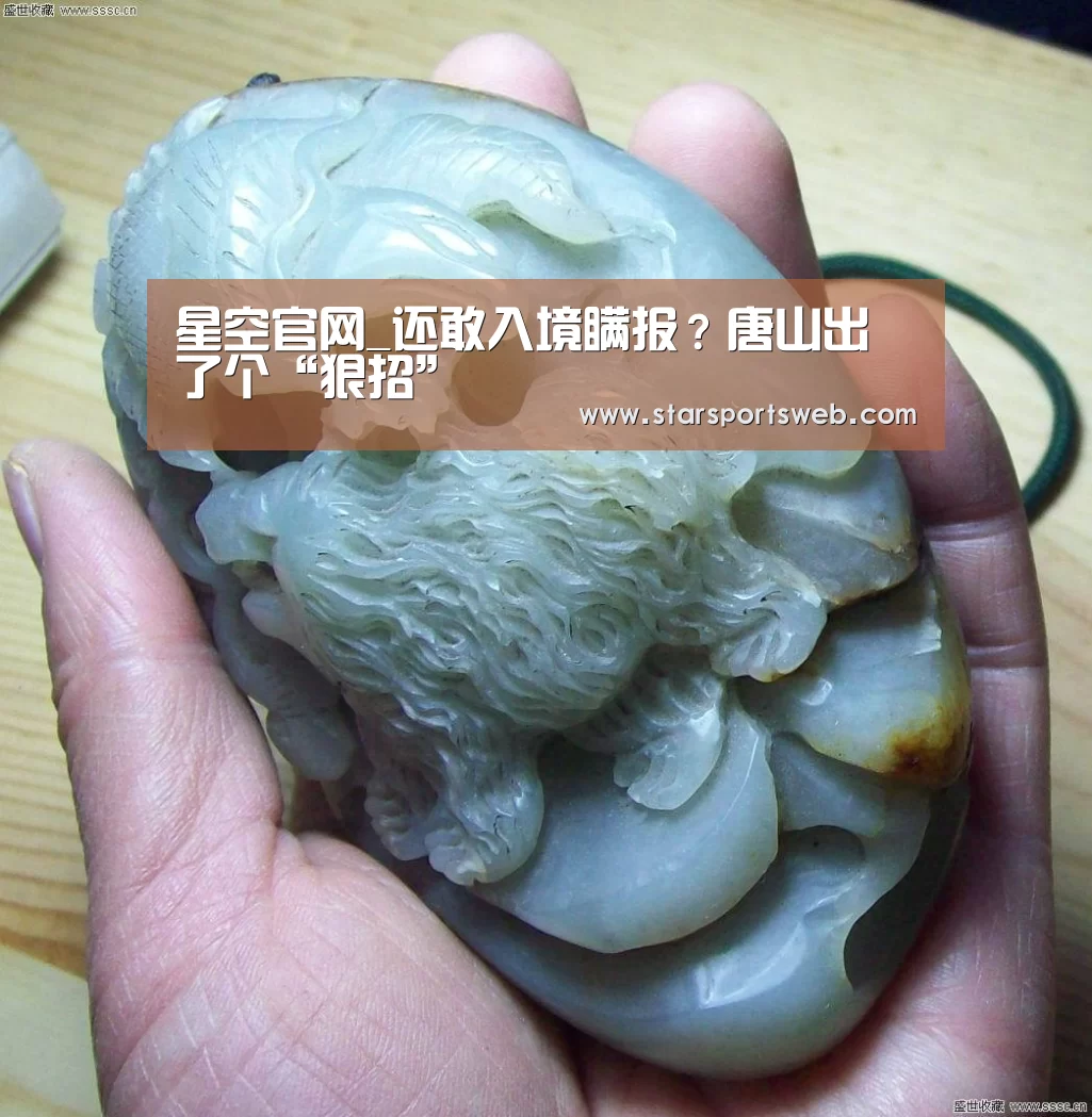 星空官网_还敢入境瞒报?唐山出了个“狠招”(图3) 星空体育官网
