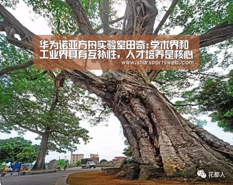华为诺亚方舟实验室田奇:学术界和工业界具有互补性,人才培养是核心_星空官网(图2) 星空体育官网